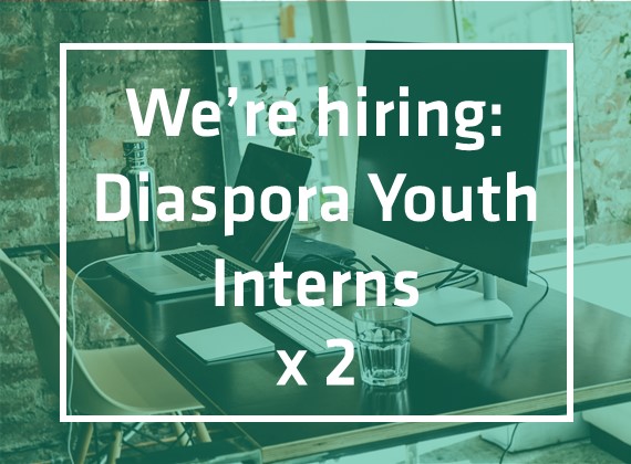 diaspora youth interns Jan 2021
