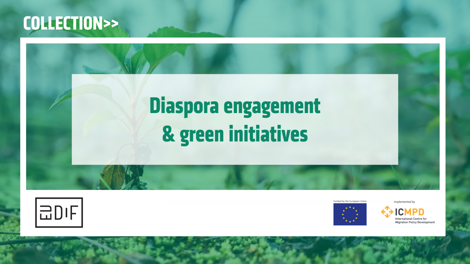 Screen Shot 2021-06-23 at 6.02.52 PM