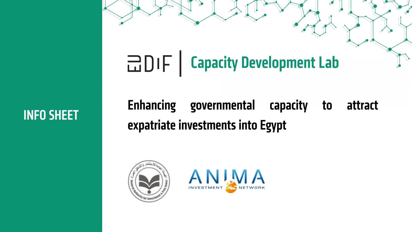 Infosheet cover GAFI x ANIMA (1)